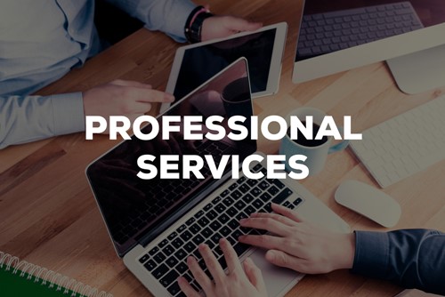 Hand typing on laptop. Words overlaying image say 'Professional Services.'