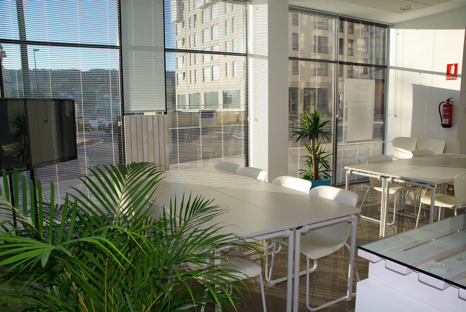 An office space with two tables each surrounded by chairs, two plants and a scenic view through the window with blinds.